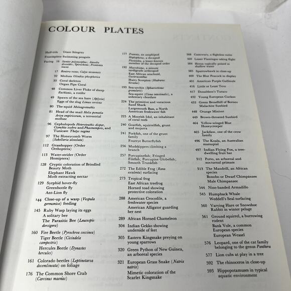 Larousse Encyclopedia of Animal Life - 1967 Paul Hamlyn Limited hard Cover VTG - Picture 12 of 13